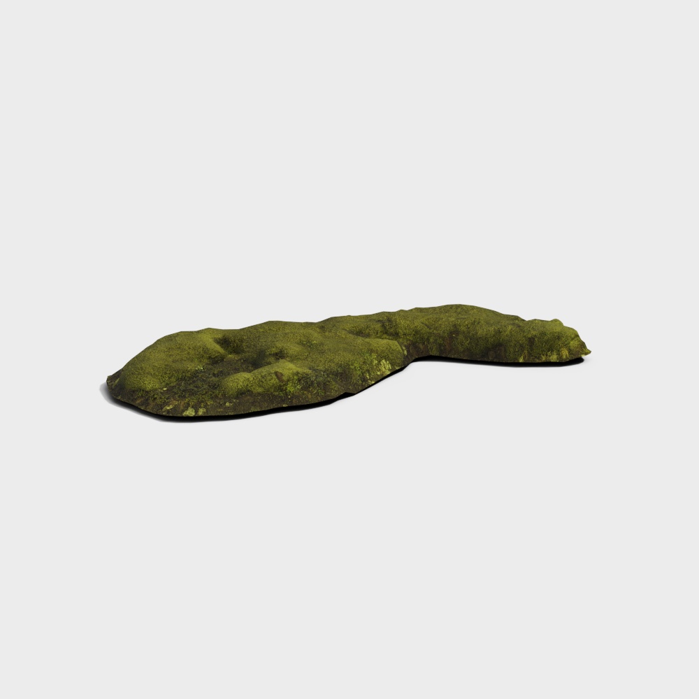苔藓景观3D模型