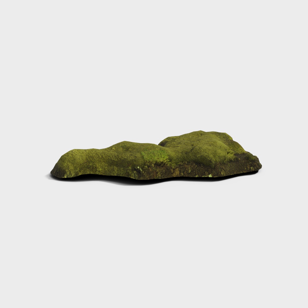 苔藓景观3D模型