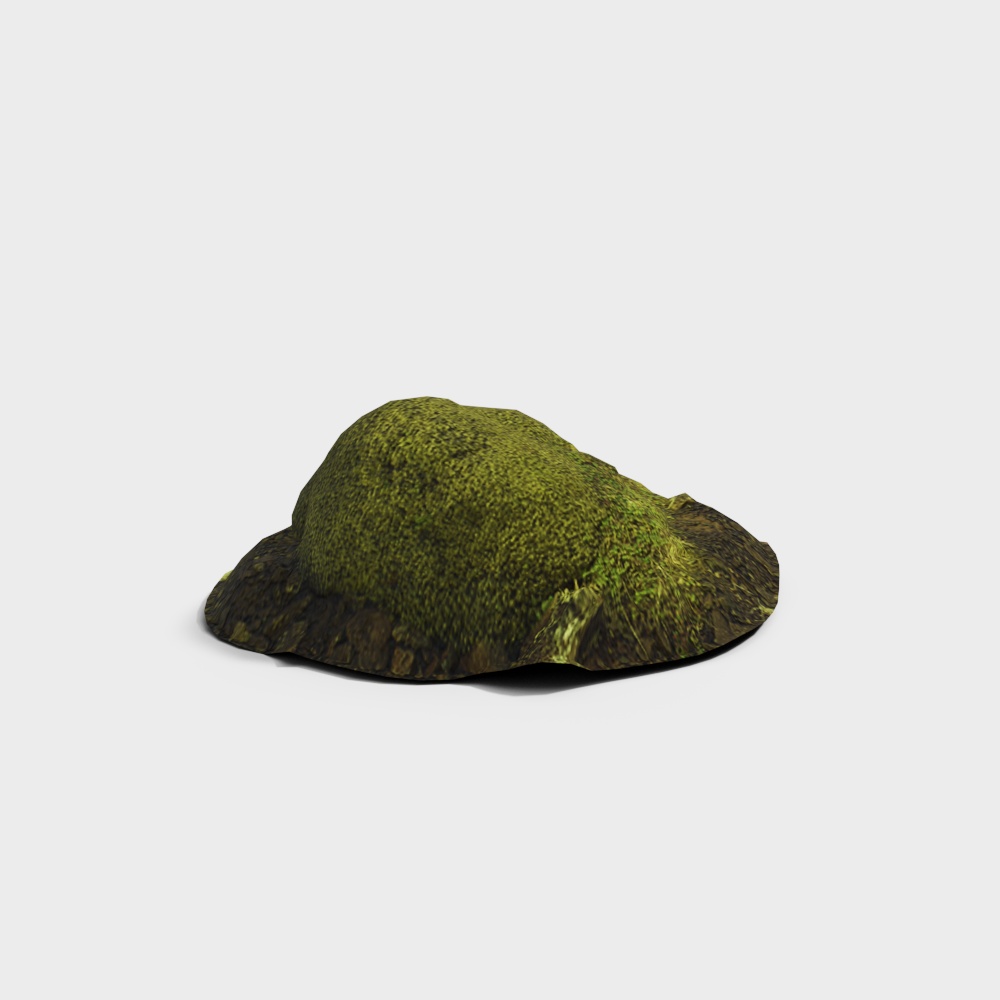 苔藓景观3D模型