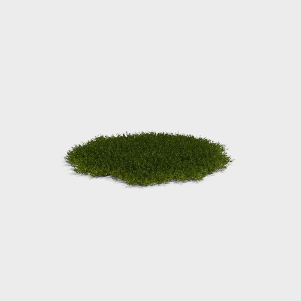 苔藓植物3D模型