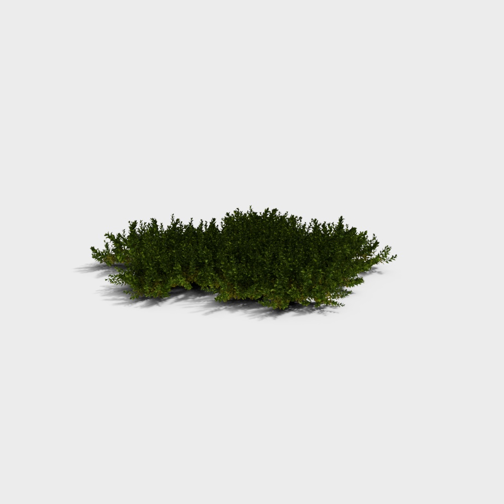 苔藓植物3D模型