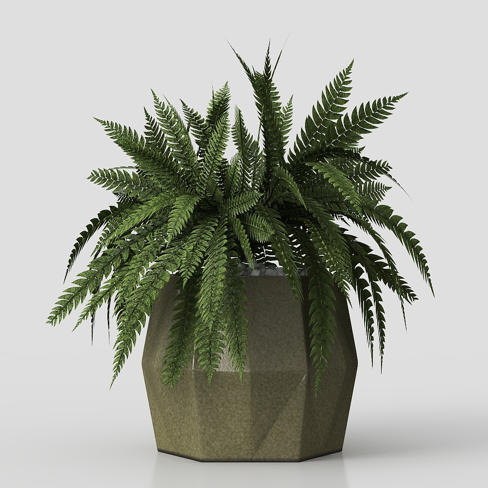 现代盆栽 3D模型