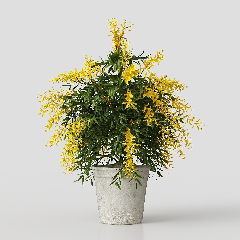 现代花卉3D模型