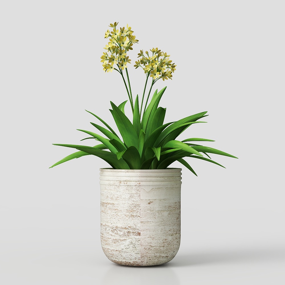 现代花卉3D模型