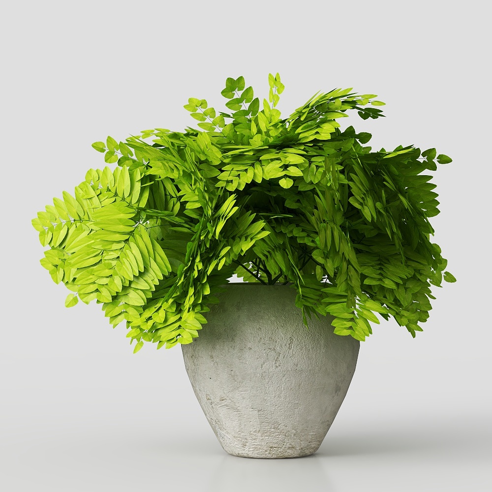 现代绿植 3D模型