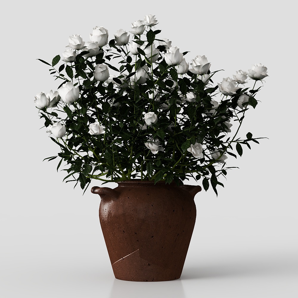 现代花卉3D模型
