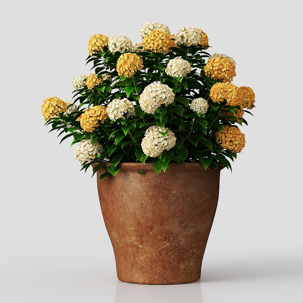 现代花卉3D模型