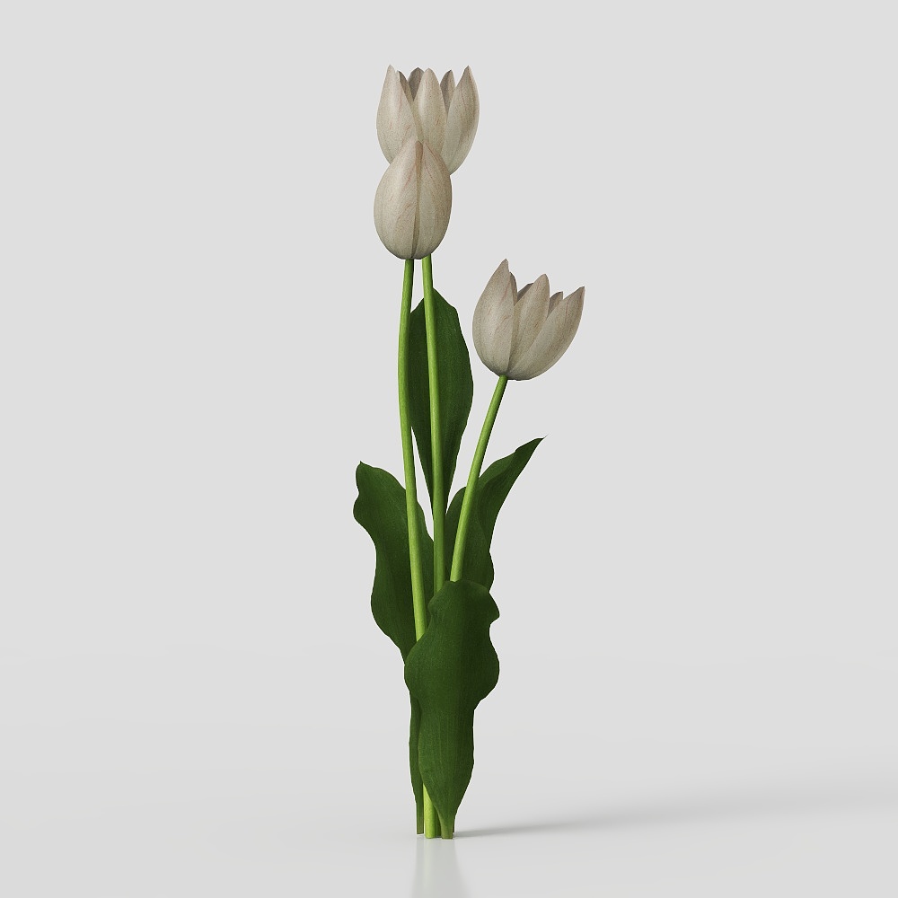现代花卉 3D模型
