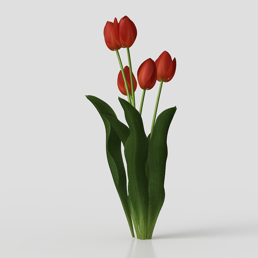 现代花卉 3D模型