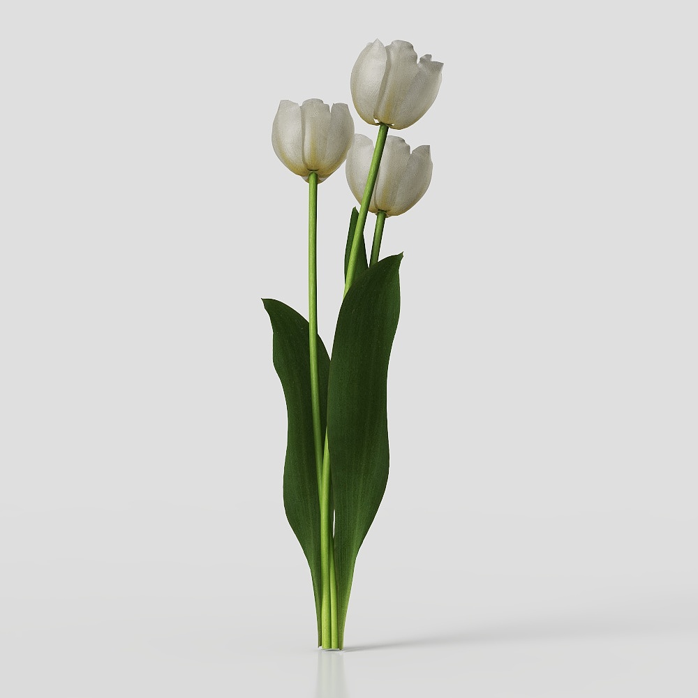 现代花卉 3D模型