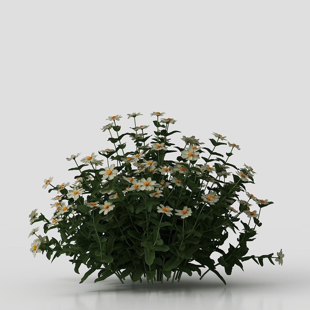 户外花草3D模型