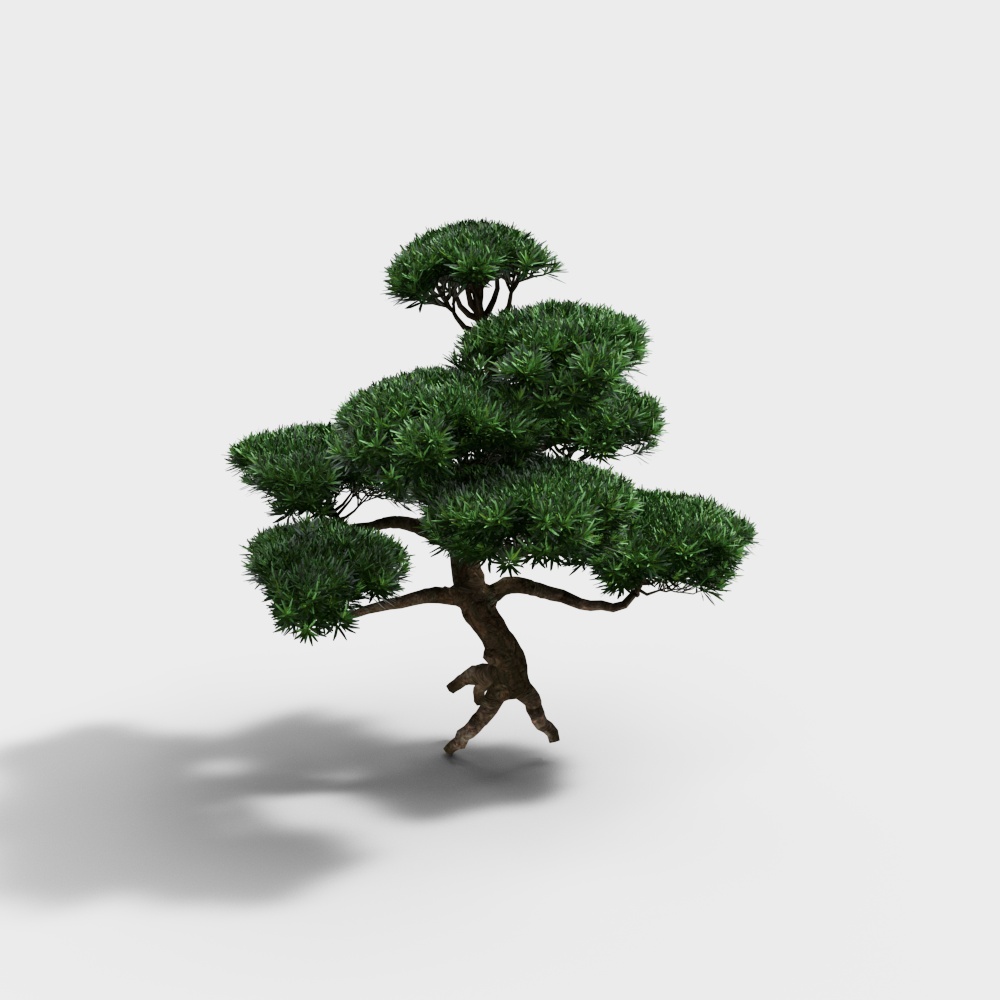 观赏植物造型树3D模型
