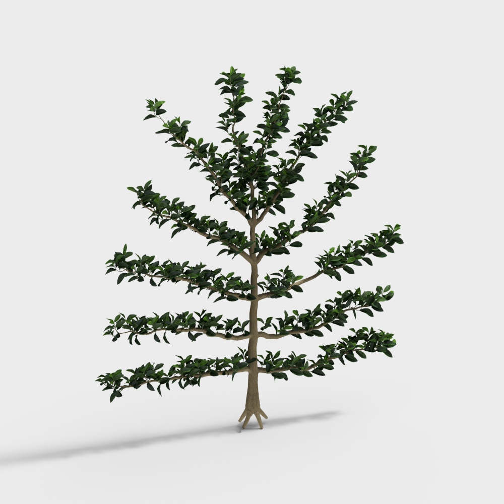 观赏植物造型树3D模型