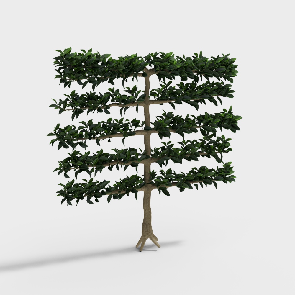 观赏植物造型树3D模型