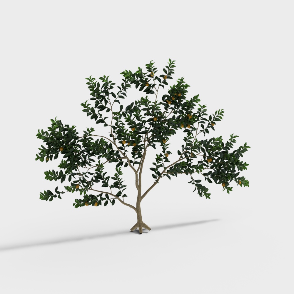观赏植物造型树3D模型