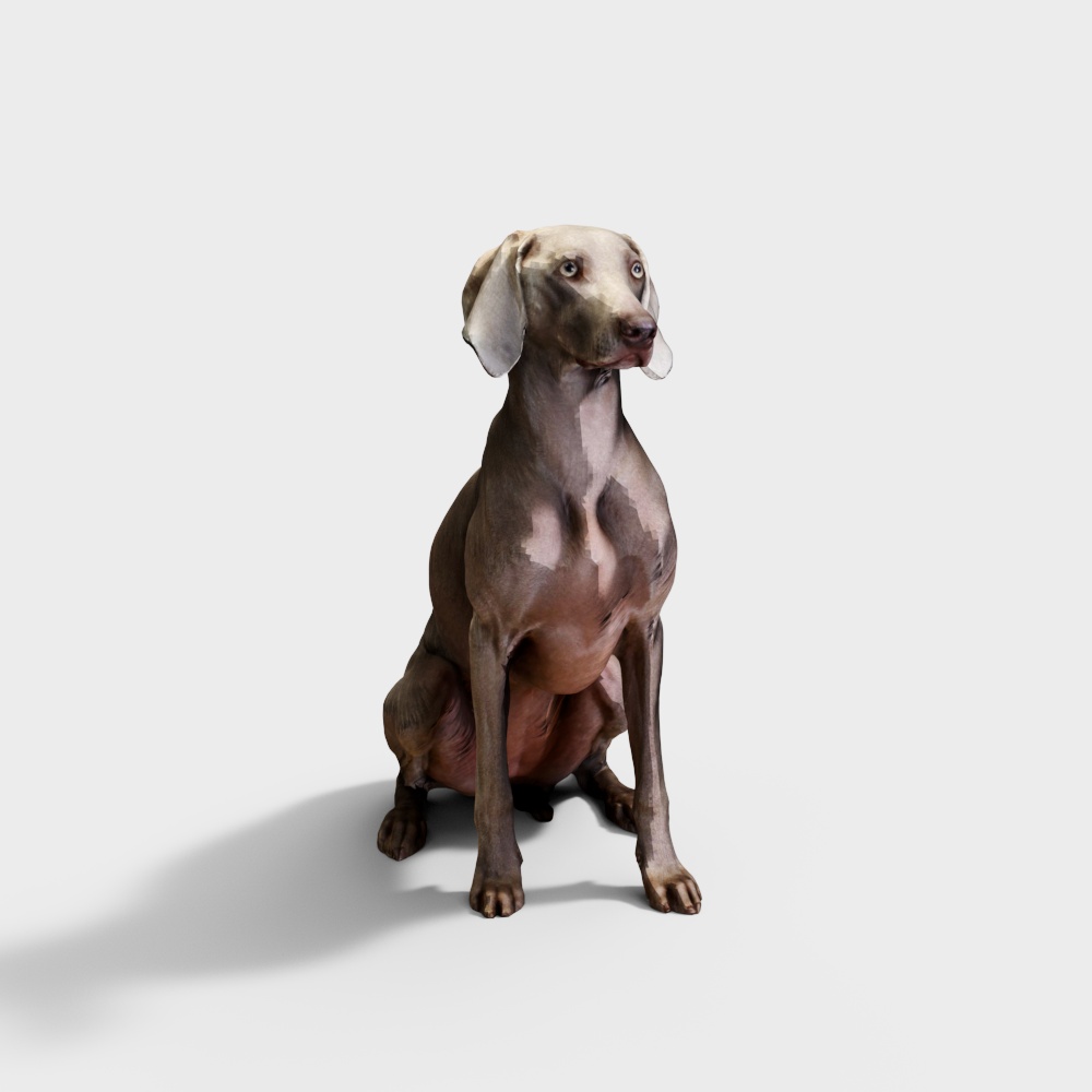 灰犬3D模型
