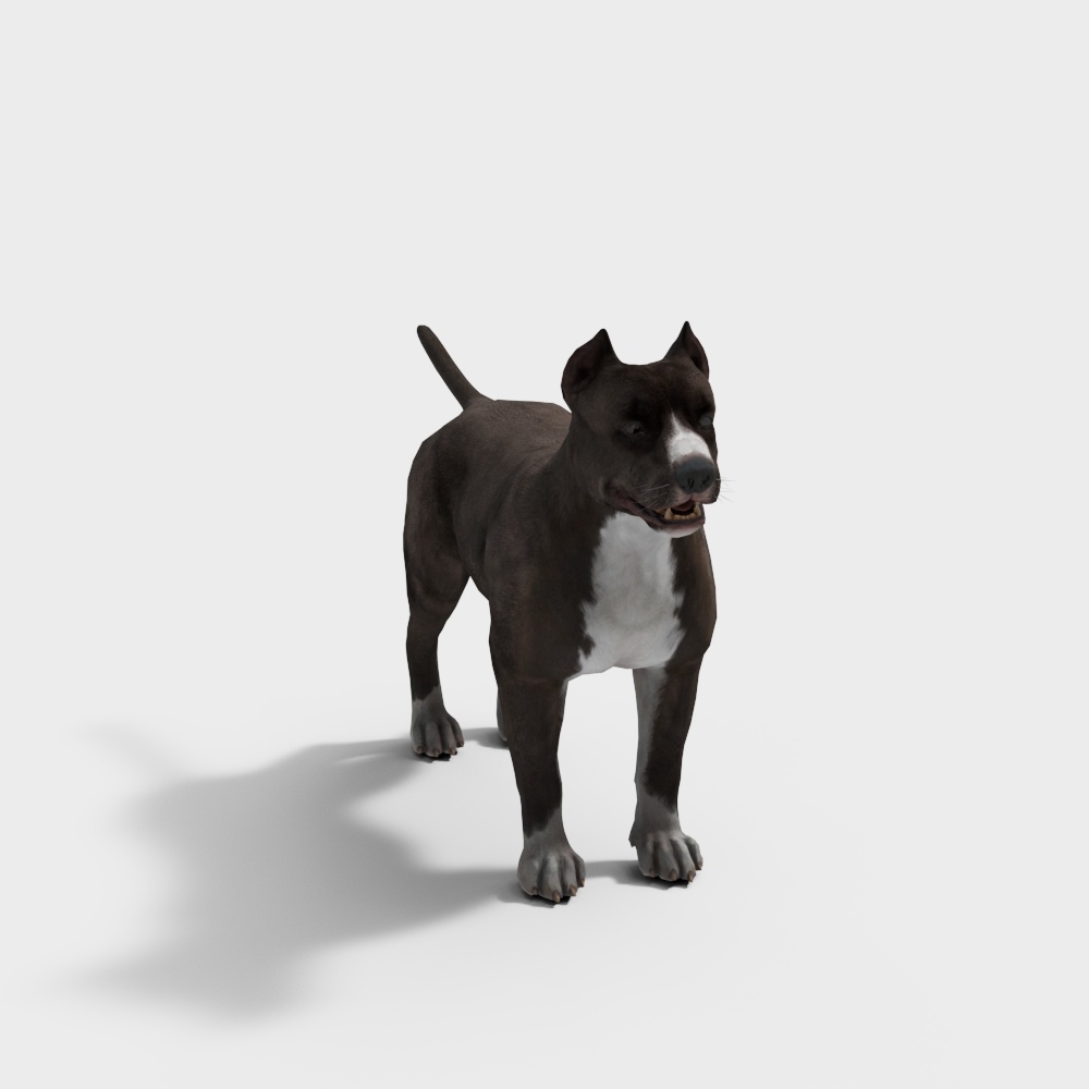 比特犬3D模型