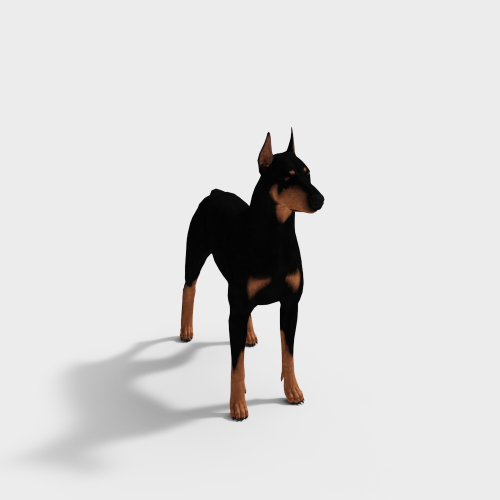 杜宾犬3D模型