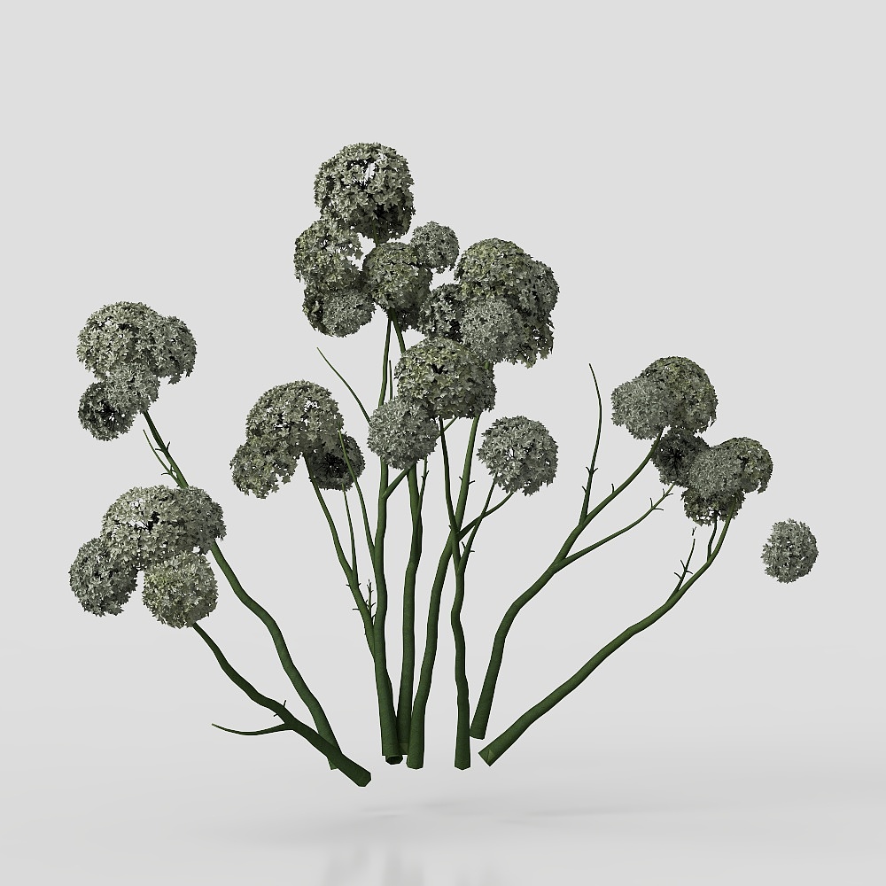 背景花卉  3D模型