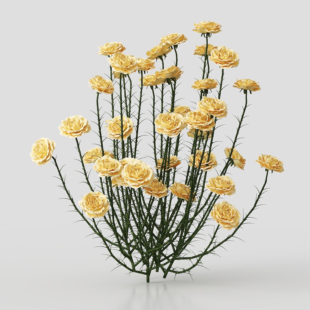 背景花卉 3D模型