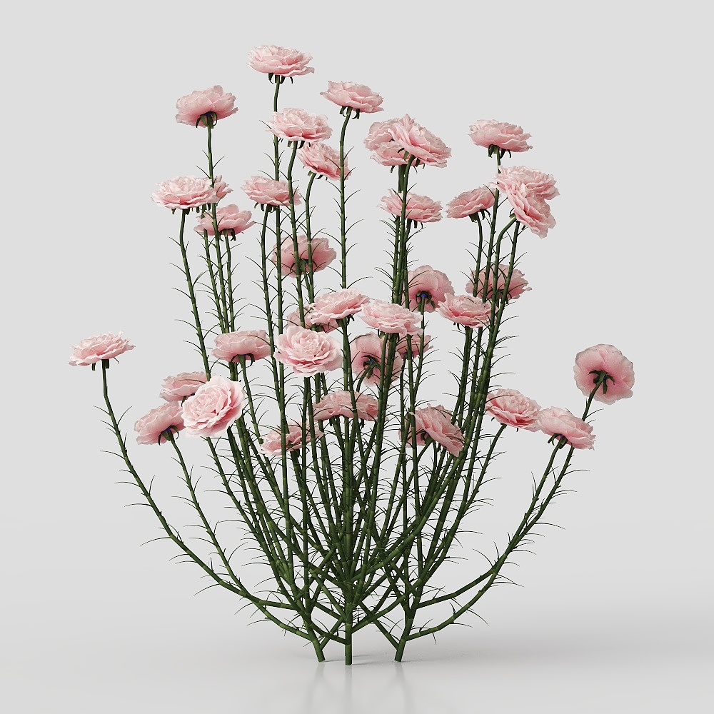 背景花卉 3D模型