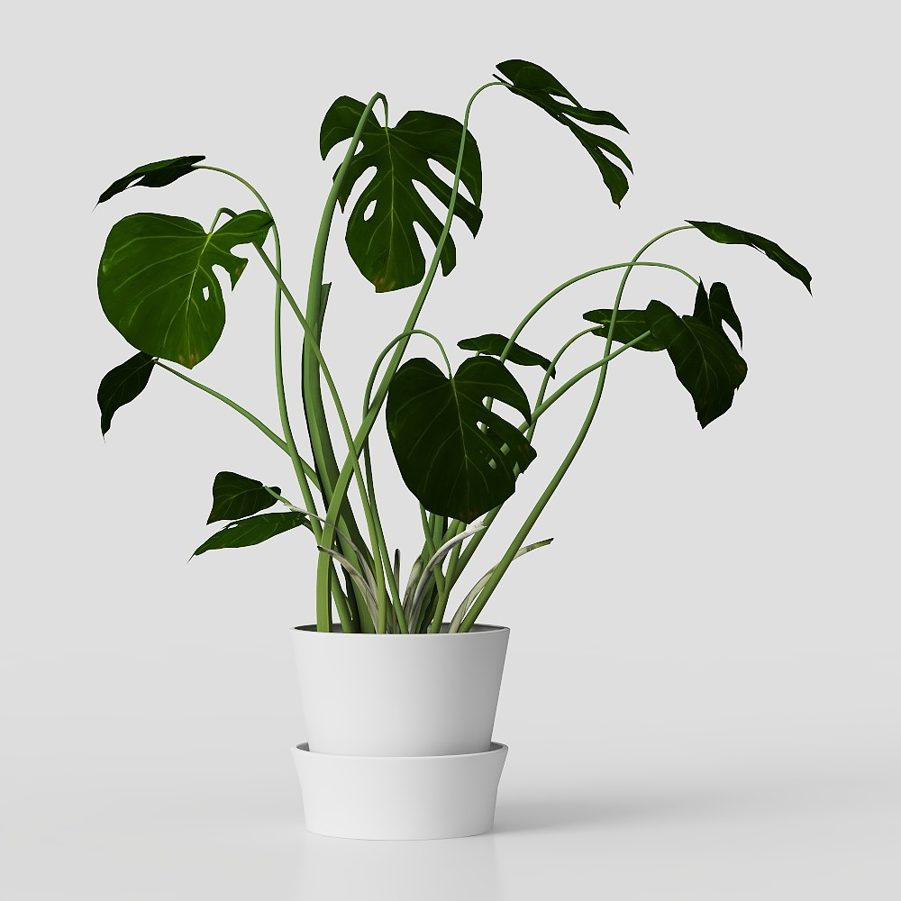 现代盆栽摆件3D模型