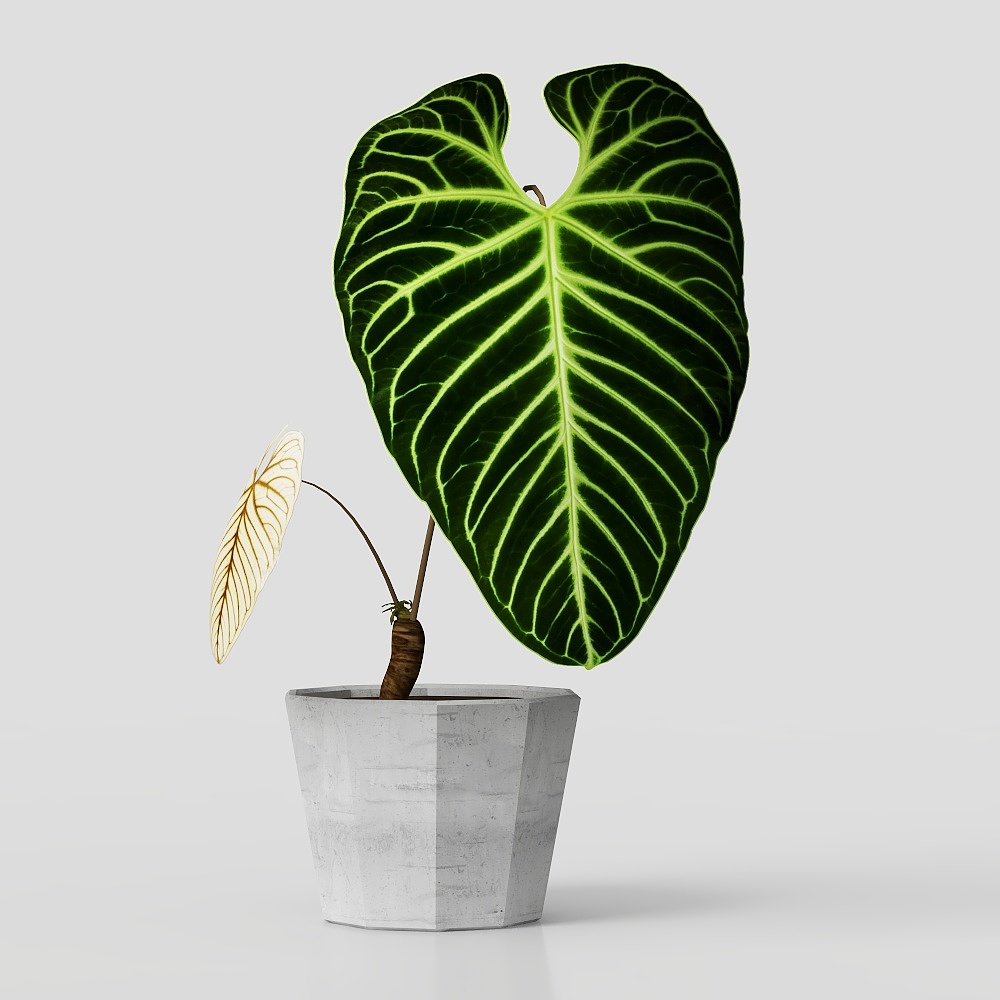 现代盆栽摆件3D模型