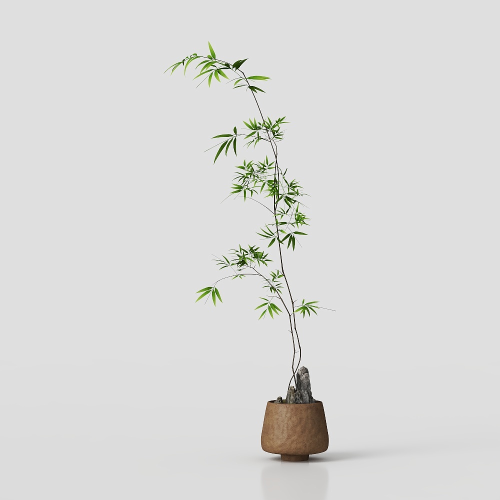 中式绿植3D模型