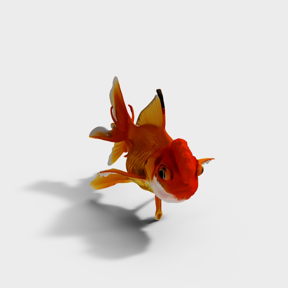 水生动物-金鱼3D模型
