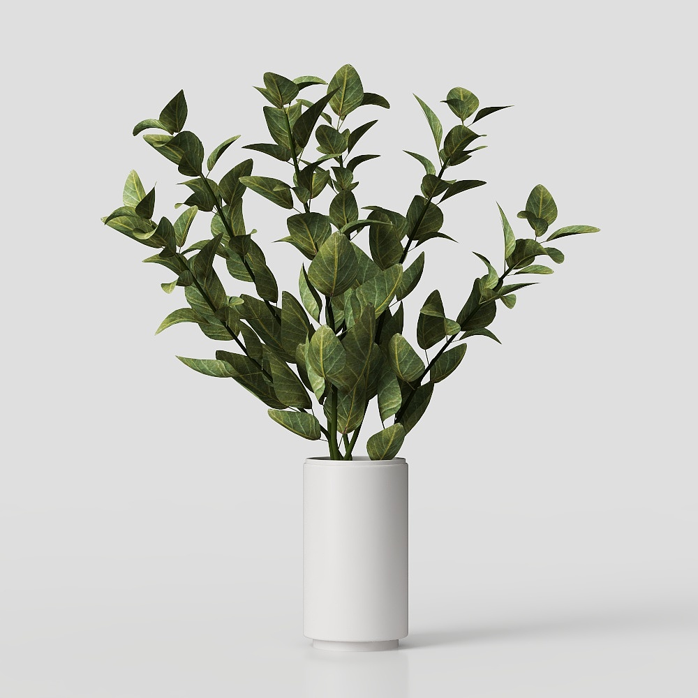 桌面植物-现代绿植摆件3D模型