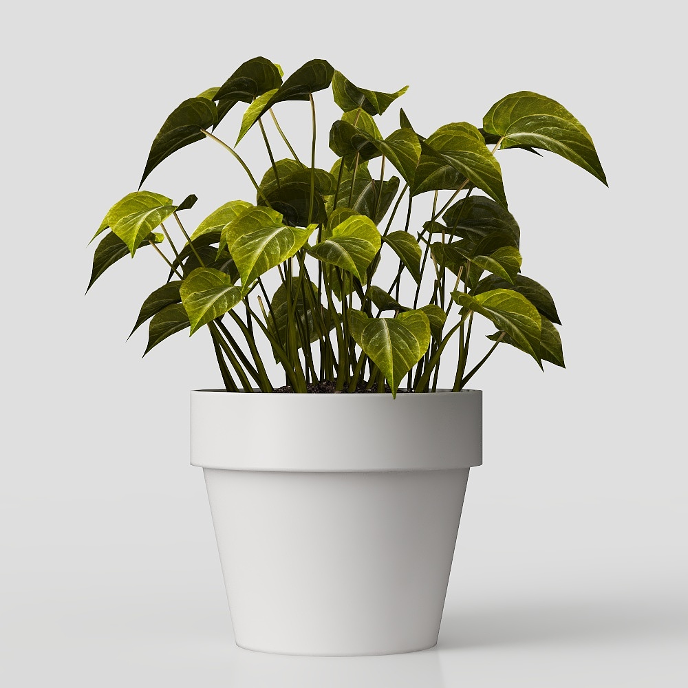 桌面植物-现代绿植摆件3D模型