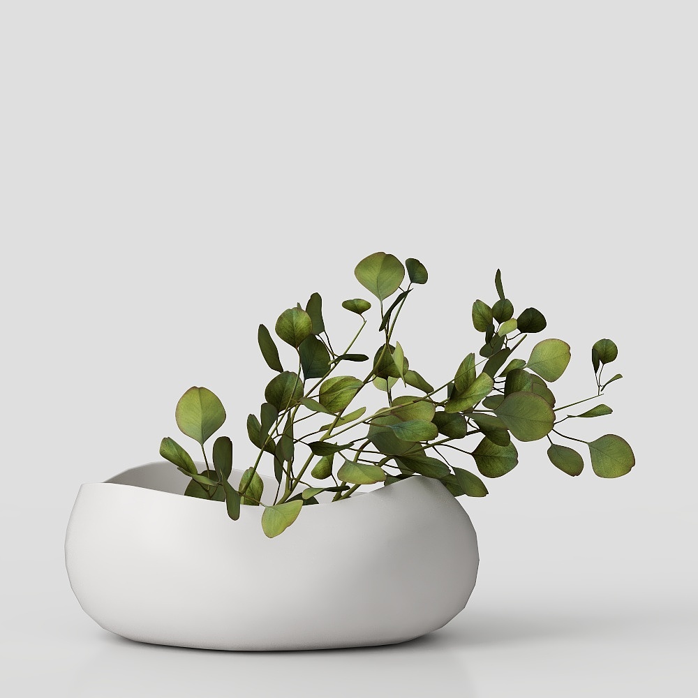 桌面植物-绿植小型摆件3D模型