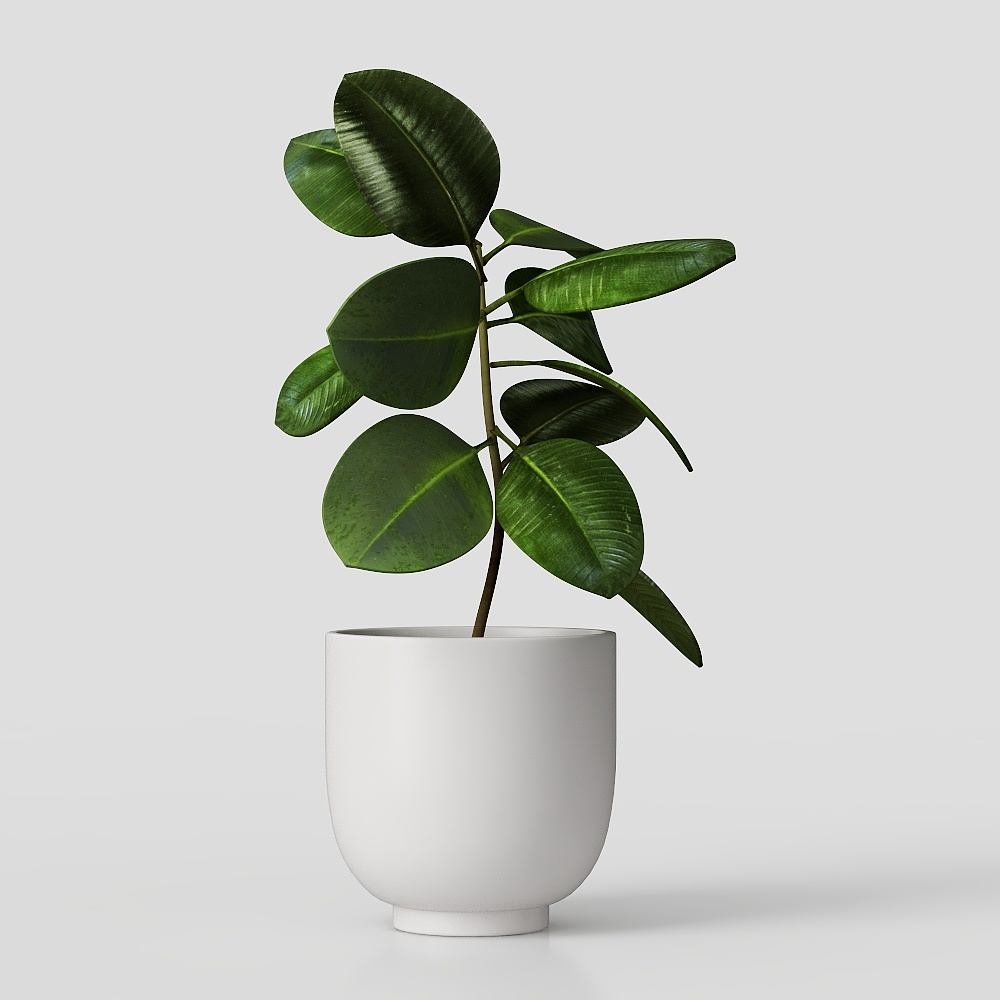 桌面植物-现代绿植摆件3D模型