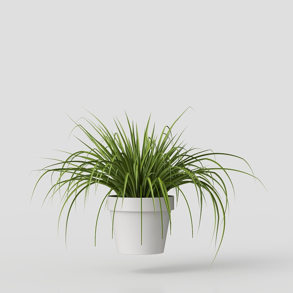桌面植物-现代绿植摆件3D模型