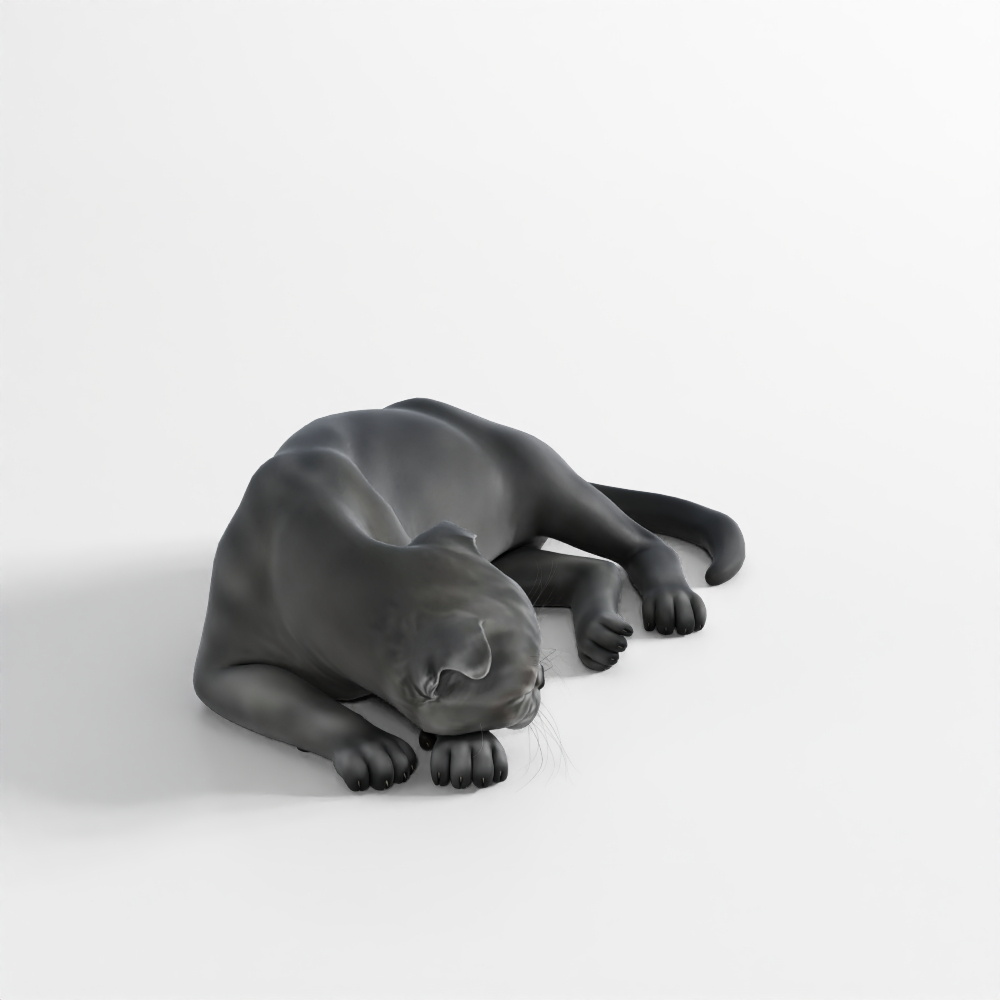 猫咪-动作173D模型