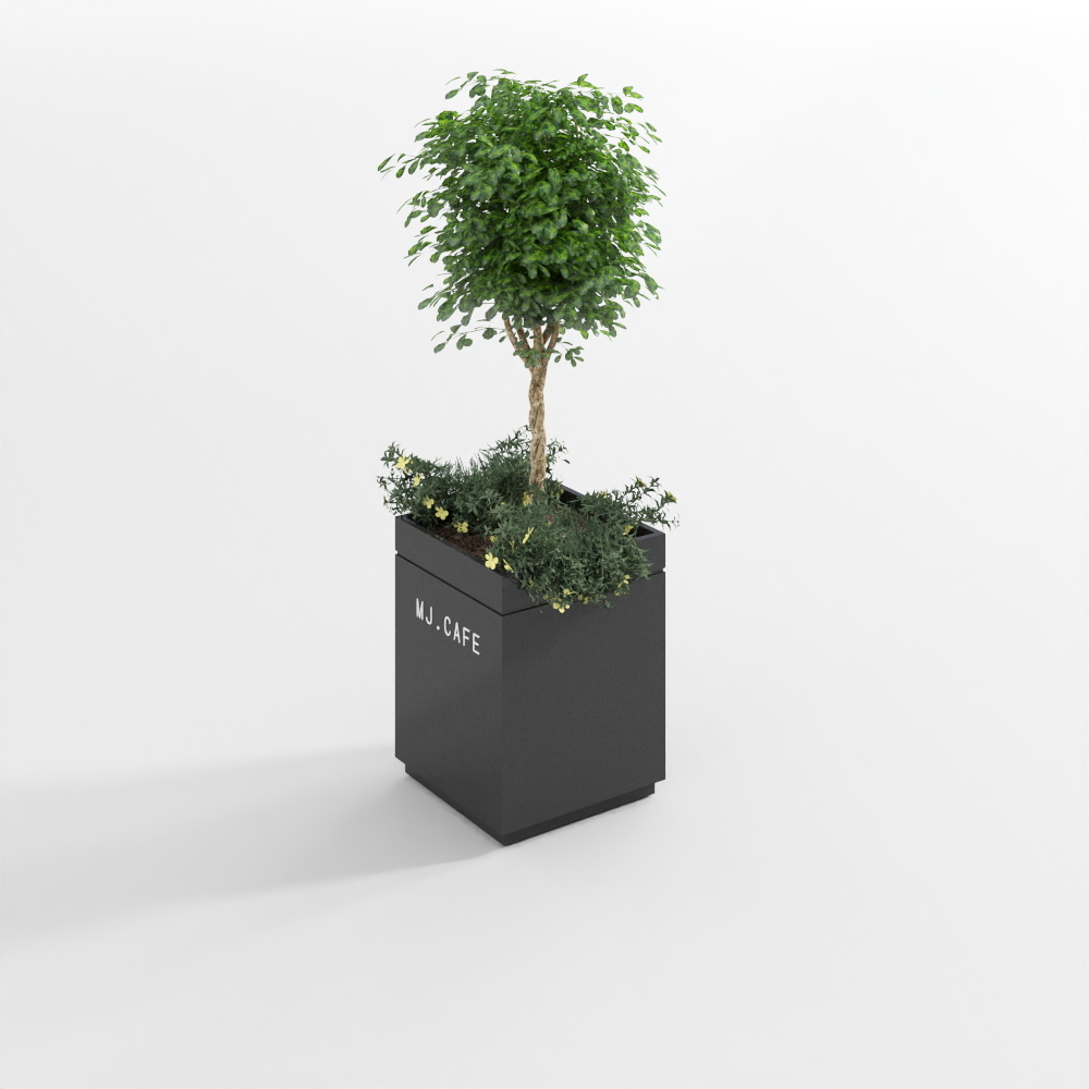 植物5(2020)