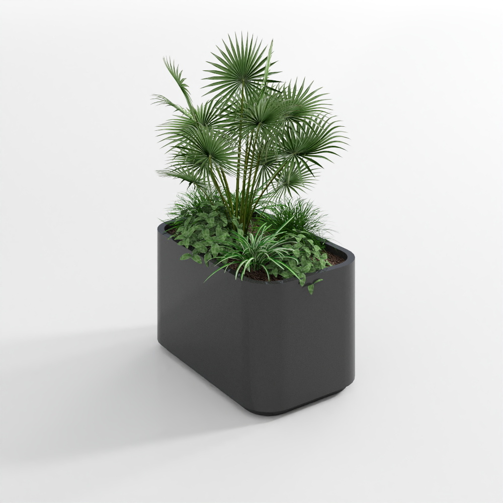 植物3(2020)