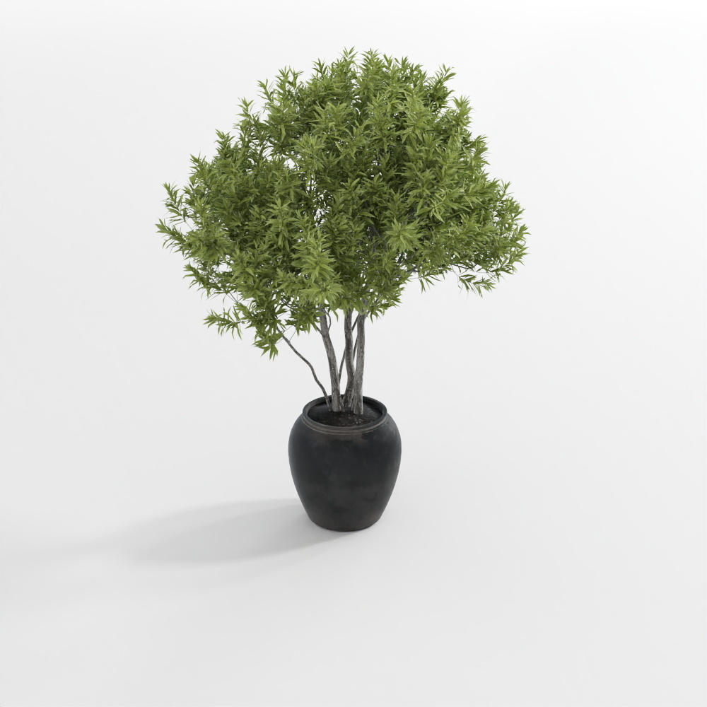 浅色绿植3D模型