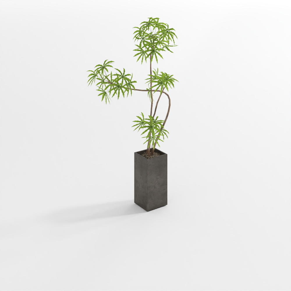 绿植3D模型