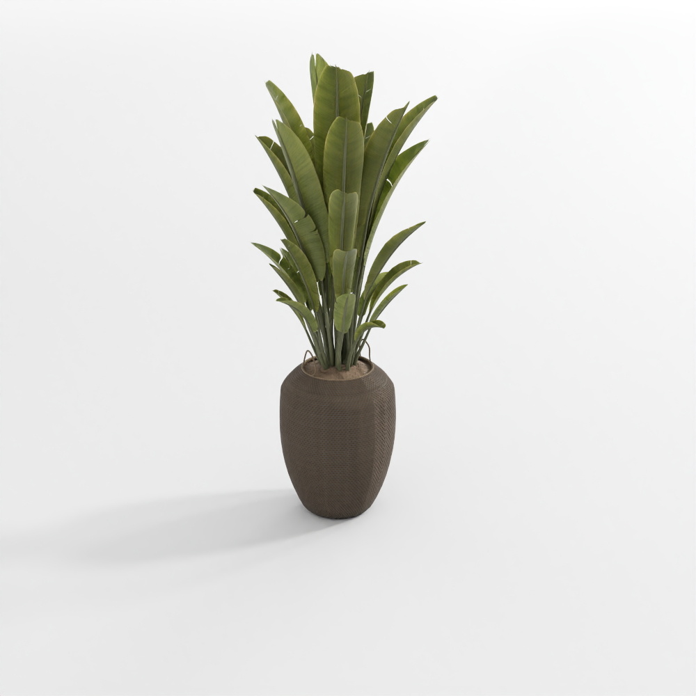浅色绿植3D模型
