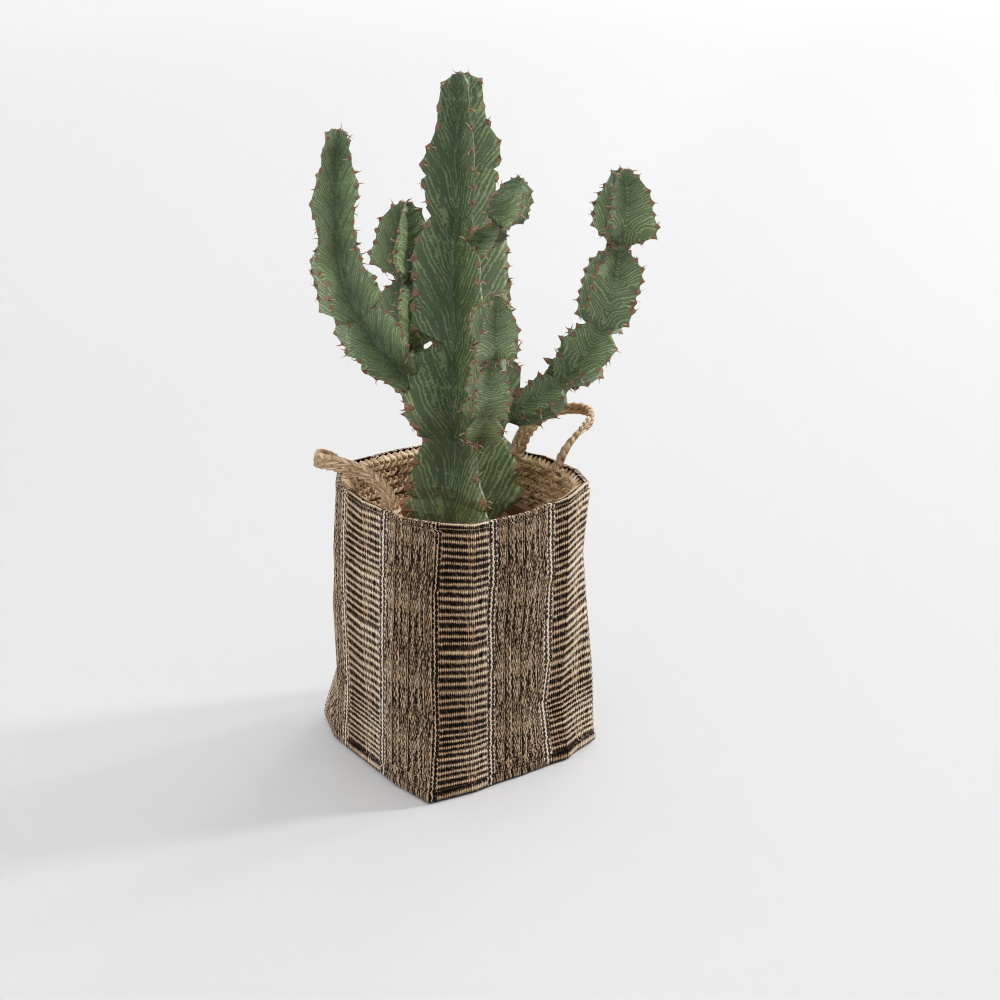 绿植摆件3D模型
