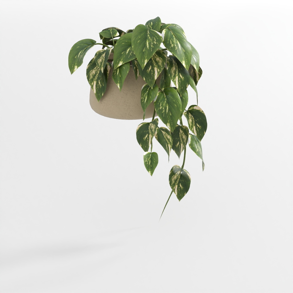 绿植盆栽23D模型