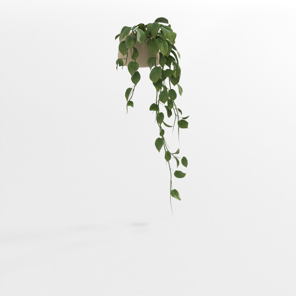 绿植盆栽53D模型