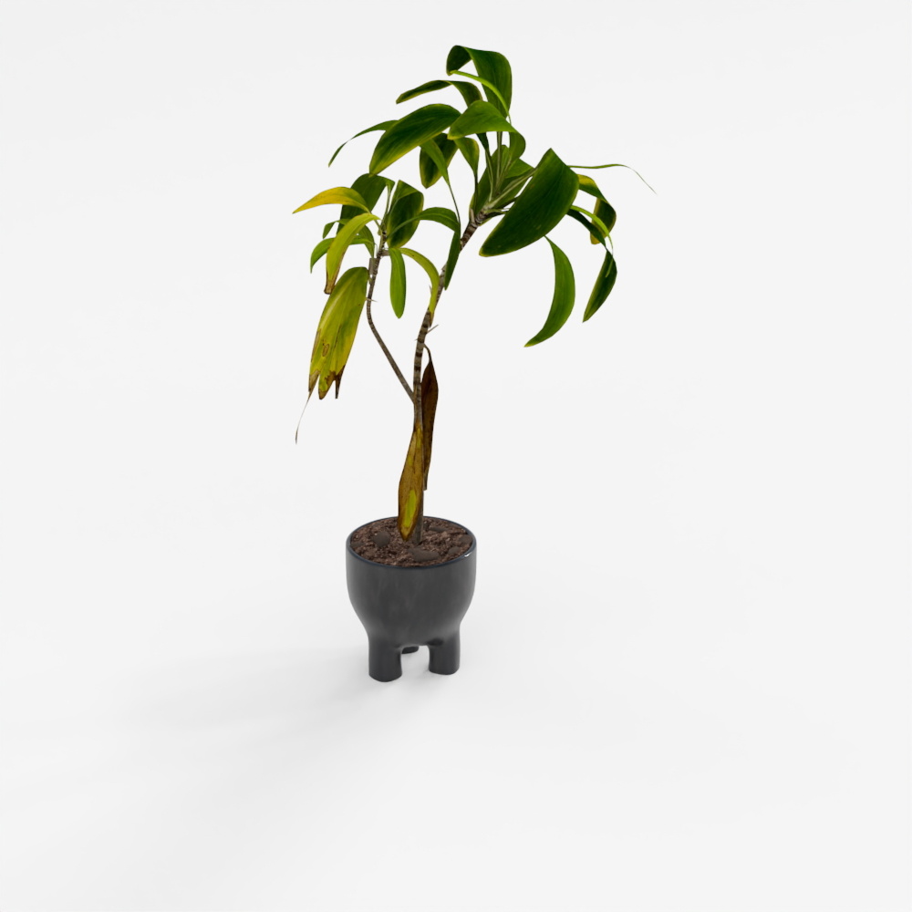 法式绿植3D模型