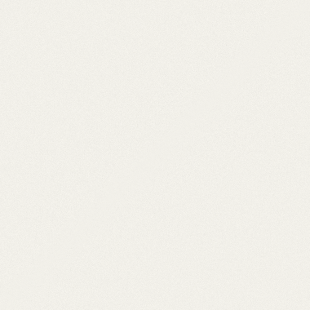 全麦饼干3D模型