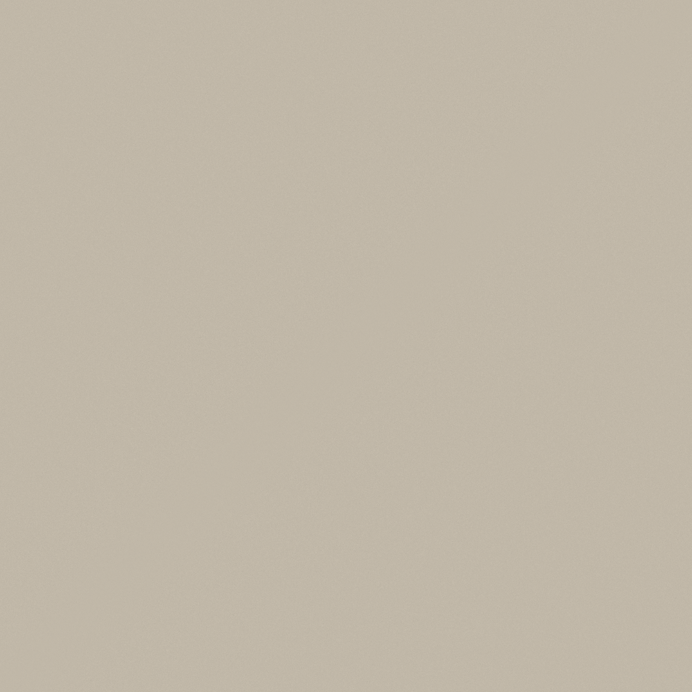 burmese beige3D模型